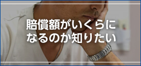 賠償額がいくらになるのか知りたい