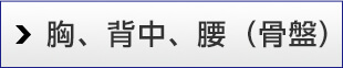 胸、背中、腰(骨盤)
